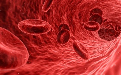 新版的生物科技公司名字 新版的生物科技公司名字