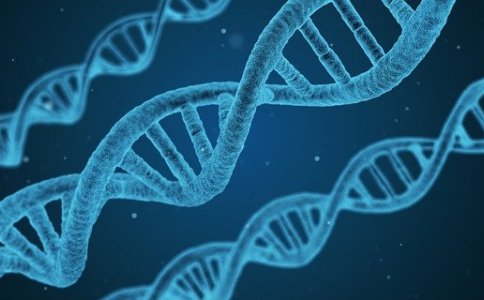 生物科技公司取名大全 生物科技公司取名大全