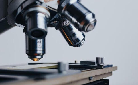 免费为生物科技公司起名字