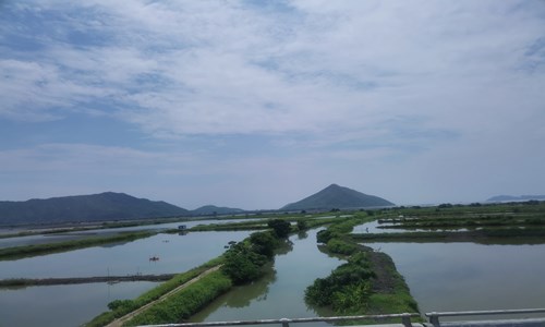 五行属木的分析和名字