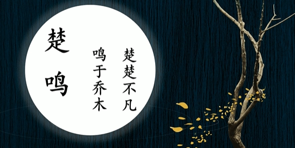 男孩名字, 闪闪发光的男孩名