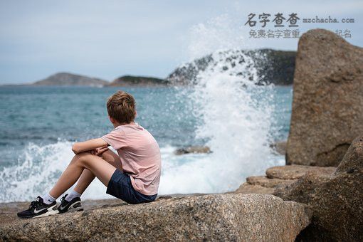 100分的蒋姓男孩名字