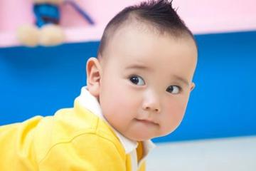 牛宝宝取名 牛年男宝宝起名大全