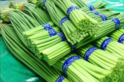 菜店铺名字 好听的蔬菜店名字大全
