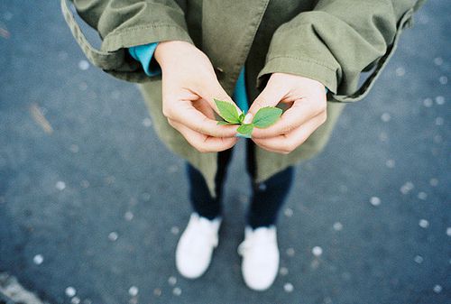 鲍姓氏取名-鲍沈彬:取名测分