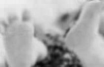 邵禹童男孩姓名综合推荐为79分