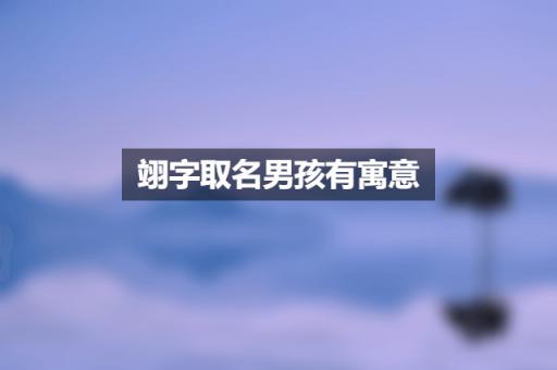 翊字取名男孩有寓意