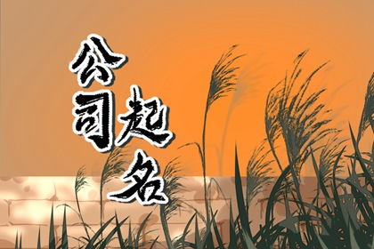 带财气的公司名 设计风格独特的企业名称