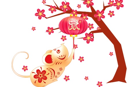 姓萧名字鼠年女孩