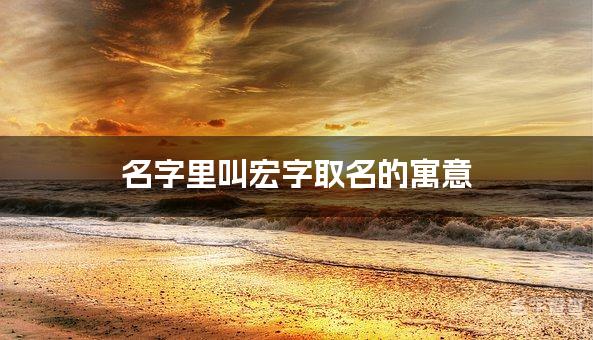 名字里叫宏字取名的寓意_宏字男宝宝取名寓意