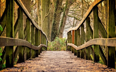 贾姓起名带晨字