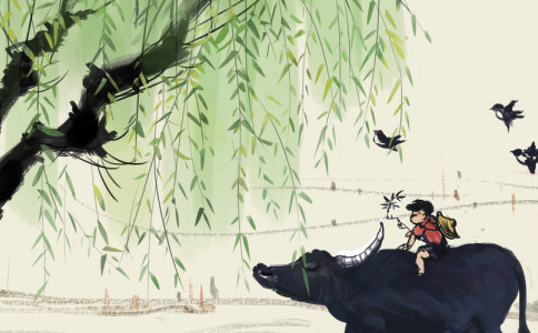 姓蔡的男孩名字缺水