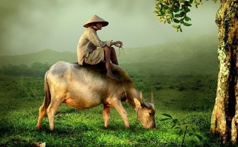 牛年姓郭起名字大全女孩