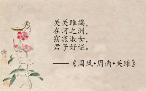 姓杨缺木的名字大全