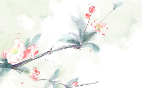 谭取名，宝宝的名字不能马虎