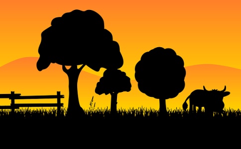 姓林的牛年男孩起名字